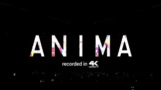 Martin Garrix Presents: ANIMA (Live @ Amsterdam RAI 2018)