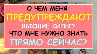 🌷 ЧТО МНЕ НУЖНО ЗНАТЬ ПРЯМО СЕЙЧАС? СОВЕТ ОТ ВЫСШИХ СИЛ. 🌷  Tarot Diamond Dream Таро