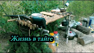 ЖИВЕМ В ТАЙГЕ / КОПТИМ И ЛОВИМ РЫБУ/ Все серии подряд Сезон 2017 г. #1/2. bushcraft