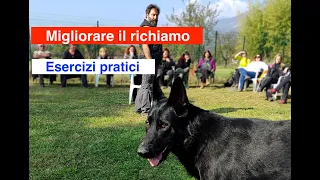 Migliorare il Richiamo. Esercizi Pratici