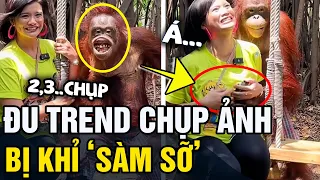 Đu trend 'CHỤP ẢNH CÙNG KHỈ', cô gái 'TÁI XANH MẶT' khi con khỉ có 'HÀNH ĐỘNG LẠ' | Tin 5s