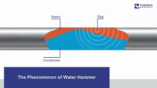 The Phenomenon of Water Hammer