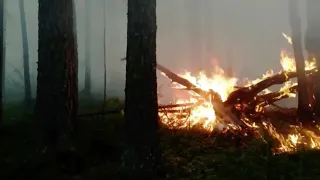 Wildfires rage across northern Russia