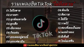 รวมเพลงฮิตของ เสือสองเล เพลงเพราะๆ ฟังกันยาวๆ 1 ชั่วโมงเต็ม