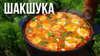 Шакшука - яичница с помидорами