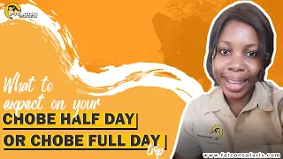 WHAT TO EXPECT GOING TO CHOBE HALF DAY OR FULL DAY TRIP