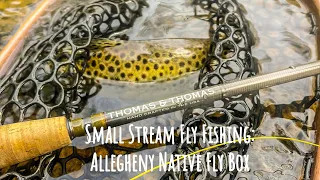 Fly Fishing/Euro Nymphing a Small Stream: Allegheny Native Fly Box