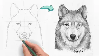 How to Draw a Realistic Wolf in pencil - Step by step