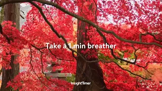 Meditative Instrumental Music & Binaural Beats | Meditation & Mindfulness | Insight Timer