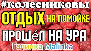 Колесниковы /Отдых на помойке прошел на ура /Обзор Влогов /7-Я /Семья Колесниковых /