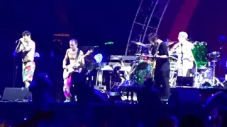 Red Hot Chili Peppers - Californication @ Lollapalooza 2016