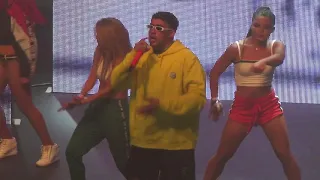 Bad Bunny - Chambea LIVE - Kentish Forum 04-08-18