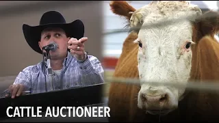 Life of an Idaho Cattle Auctioneer | VOA Connect