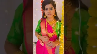 Vanathai pola serial actors Tik Tok