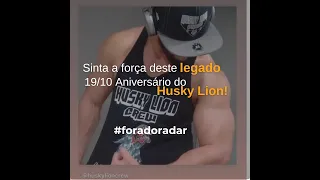 Husky Lion - Fora do radar