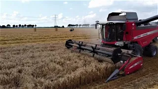 Harvest 2022 ~ Massey Ferguson 7370