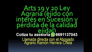 Arts 19 y 20 Ley Agraria (ejido con interés en Sucesión y pérdida de la calidad ejidal)