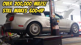 I bought the cheapest Shelby GT500 Mustang in the USA, with 210,000 miles!