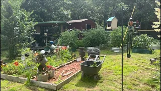 Our backyard grocery store ! #gardening #homesteadlife #simplelife #growingfood #growsomefood