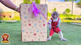 Monkey YiYi was very surprise when grandpa gave her a gift