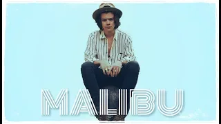 Harry Styles| Malibu