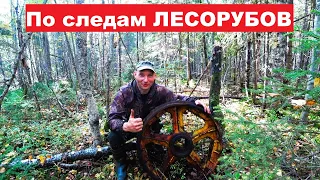 Есть ещё МЕТАЛЛ в лесу! Ищем стоянки ЛЕСОРУБОВ. Опять нагрузили полный прицеп.