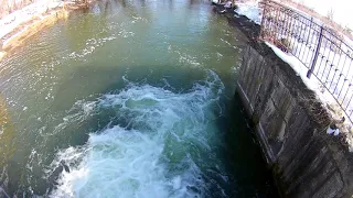 р. ТИХАЯ СОСНА . КРАСНОГВАРДЕЙСКИЙ  РАЙОН. БЕЛГОРОДСКАЯ ОБЛАСТЬ .