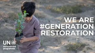World Environment Day 2024: will you join Generation Restoration?