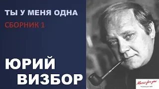 Юрий Визбор. Ты у меня одна ("Песни у костра" №1)