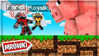 Gramy w Minecraft, jako ANT-MAN 🐜 ( zostałem mrówką! )