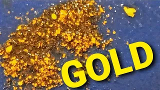 There is a wonderful gold reserve. We found gold. Panning for gold in streams and rivers.