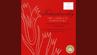 Symphony No. 6 in B Minor, Op. 74 - "Pathetique": III. Allegro molto vivace