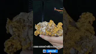 Amateur Australian gold digger finds massive nugget