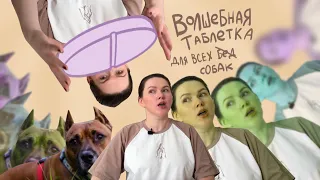 Советы, которые помогут ЛЮБОМУ владельцу собаки! Самые частые ошибки.