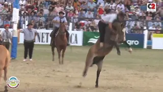 Campeonato Nacional de Jineteada del Festival de Jesús María en la categoría Crina Limpia