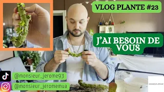 VLOG PLANTE N°23 - J'ai besoin de vous