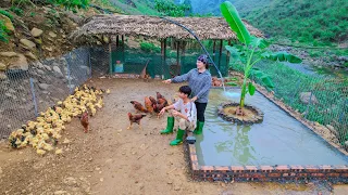 Sang Vy Farm Life Building a Swimming Pool for 300 Ducks, a Garden, and Domestic Animals