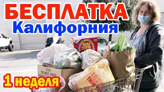 США 🇺🇸 БЕСПЛАТНАЯ ЕДА в Америке #7 / Полный багажник продуктов из Food Bank