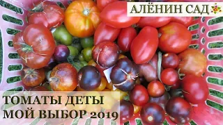 ТОМАТЫ 2019 САМЫЕ крепкие и урожайные! Детерминанты / Мой выбор