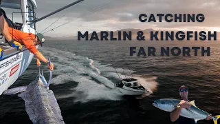 Catching marlin & Kingfish in New Zealand