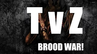 TvZ -- Great Wall of Lurkers -- Fighting Spirit -- SC1 Brood War