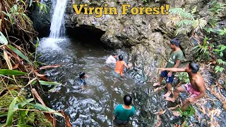 Parang May Kweba sa Falls "Virgin Forest" (Pangunguha ng Uok )| BASLAY BUNDOK ADVENTURE PART 3