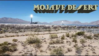 Mojave Desert