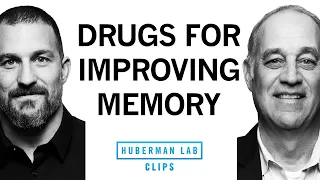 Medications That May Improve Memory & Brain Function | Dr. Mark D'Esposito & Dr. Andrew Huberman