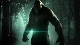 Bigfoot Theories