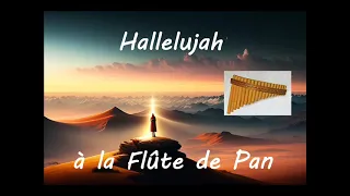 Hallelujah à la Flûte de Pan