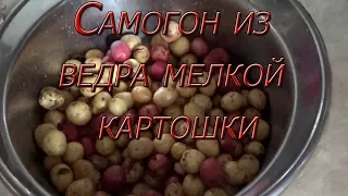 Сколько самогона получится из ведра картошки?Эксперимент...