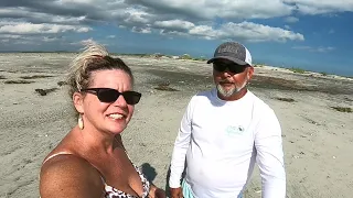 Shelling a SC Barrier Island Beach After Hurricane Idalia... rare find washed up