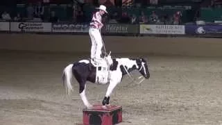 Tommie Turvey – Roman Riding & Trick Roping - Night of the Horse 2015 - Del Mar National Horse Show