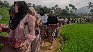 Luar Biasa‼️Ratusan Orang Jajap Pengantin Pernikahan Lewat Sawah Indah Di Jawa Barat Garut Selatan